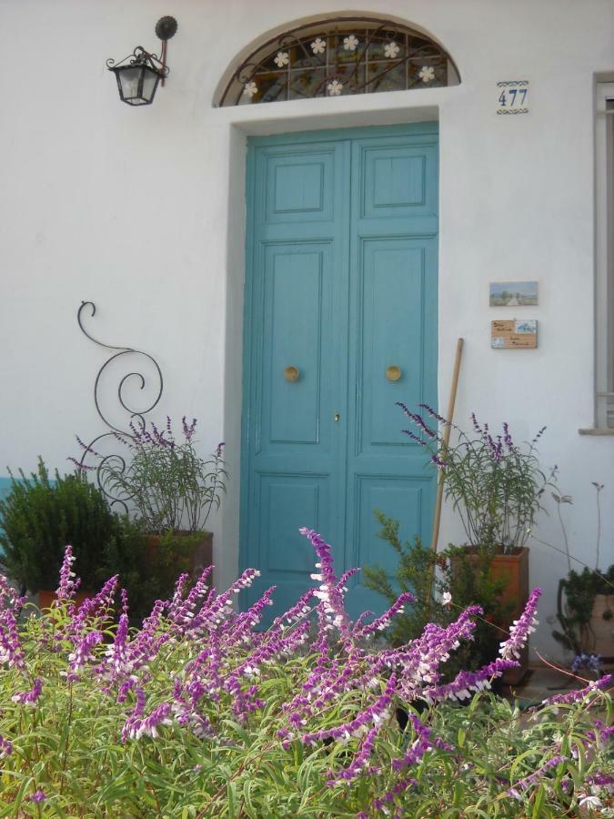 Giardino Della Moscatella Bed and Breakfast Altamura Eksteriør billede