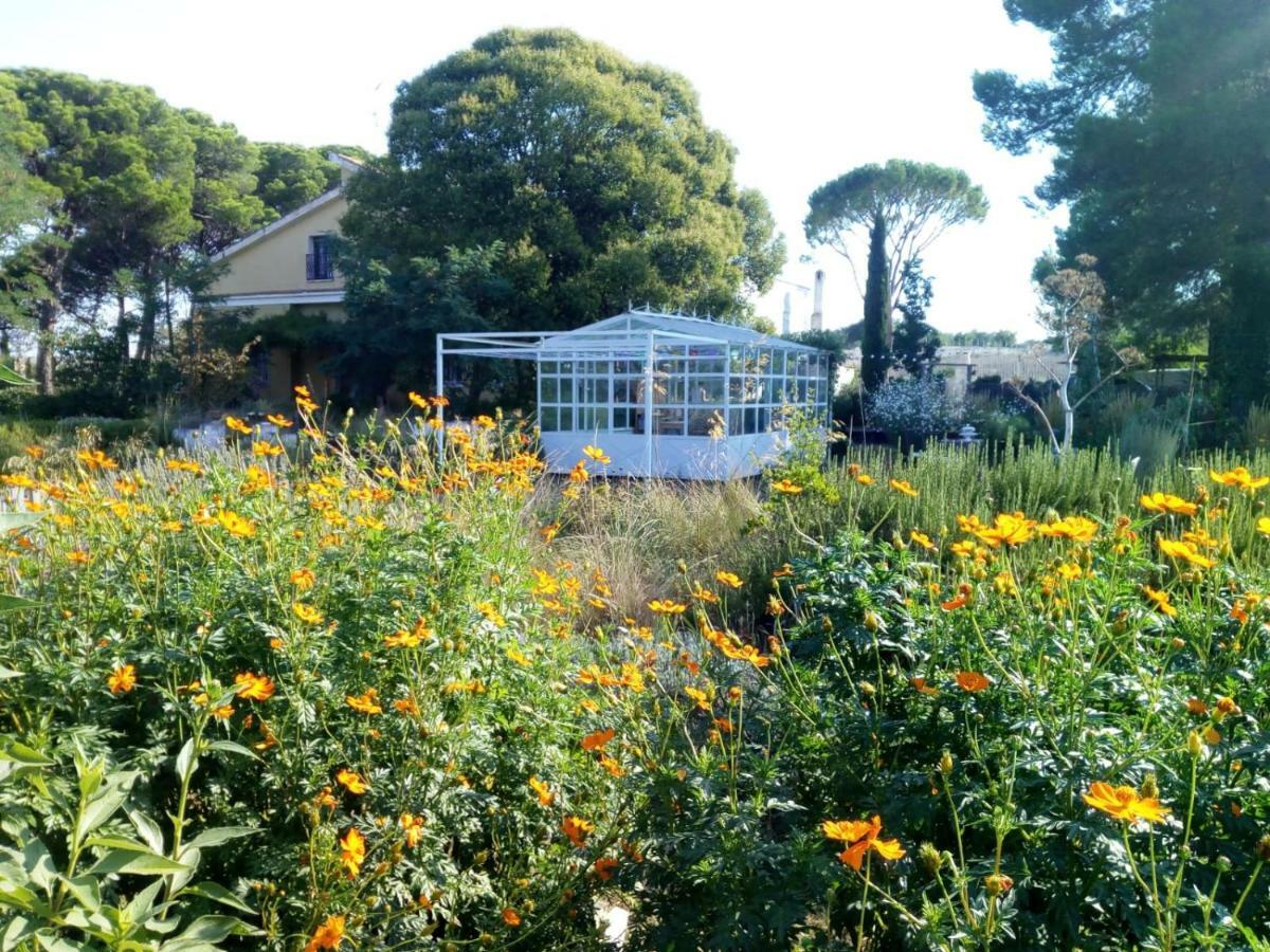 Giardino Della Moscatella Bed and Breakfast Altamura Eksteriør billede